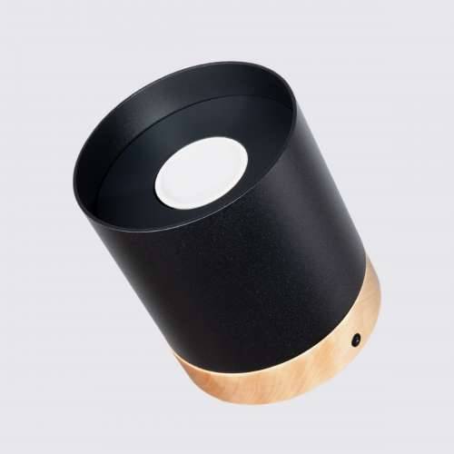 Stropna lampa RIF crna Cijena