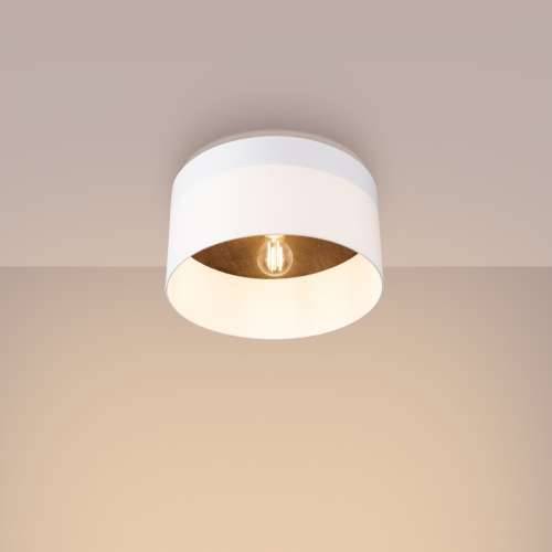 Stropna lampa TELESTO bijela/tamno smeđa Cijena