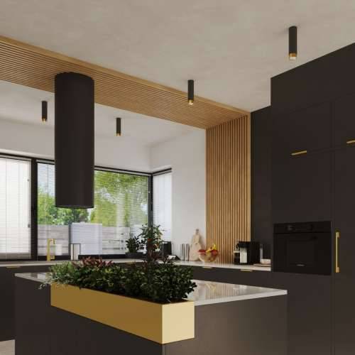 Stropna lampa NERO 12,5 crna/zlatna Cijena