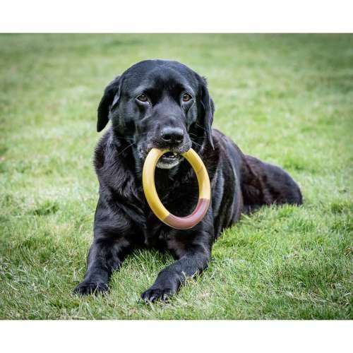 Grickalo za pse Nylabone Ring Rumena Pljeskavica L Cijena