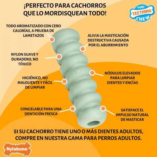 Grickalo za pse Nylabone SENSORY TACTILE STICK Zelena Maslac od kikirikija Bacon S Cijena