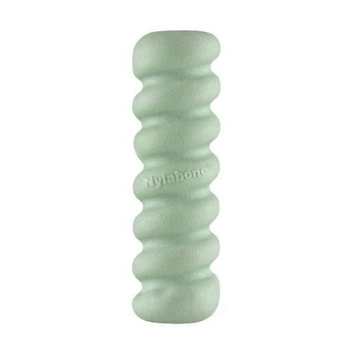 Grickalo za pse Nylabone SENSORY TACTILE STICK Zelena Maslac od kikirikija Bacon S Cijena