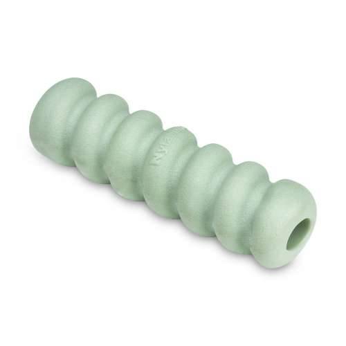 Grickalo za pse Nylabone SENSORY TACTILE STICK Zelena Maslac od kikirikija Bacon S Cijena