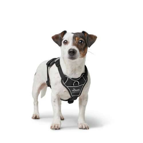Orma za pse Hunter DIVO UP Crna L/XL Cijena
