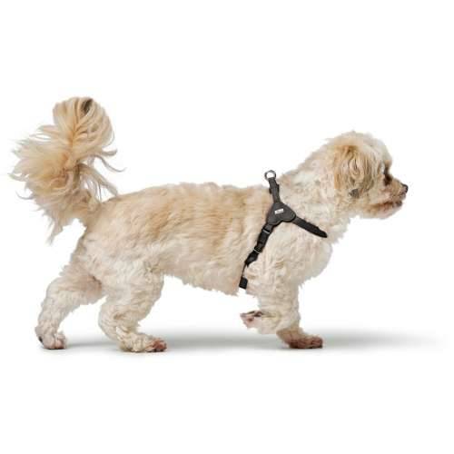 Orma za pse Hunter SOHO MINI Crna Cijena