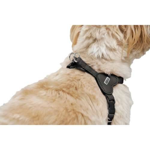 Orma za pse Hunter SOHO MINI Crna XS Cijena