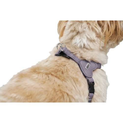 Orma za pse Hunter SOHO MINI Lila XS/S Cijena