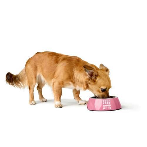 Hranilica za pse Hunter CHESTER Roza 700 ml Cijena