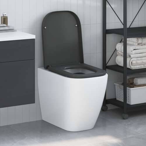 WC sjedalo s brzim otpuštanjem i mekim zatvaranjem od duroplasta antracit Cijena