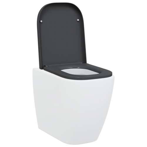 WC sjedalo s brzim otpuštanjem i mekim zatvaranjem od duroplasta antracit Cijena