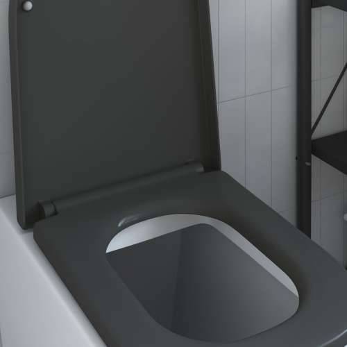 WC sjedalo s brzim otpuštanjem i mekim zatvaranjem od duroplasta antracit Cijena