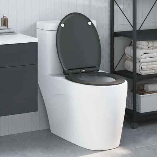 Brzo otpuštanje WC školjke s mekim zatvaranjem Duroplast Antracit Cijena