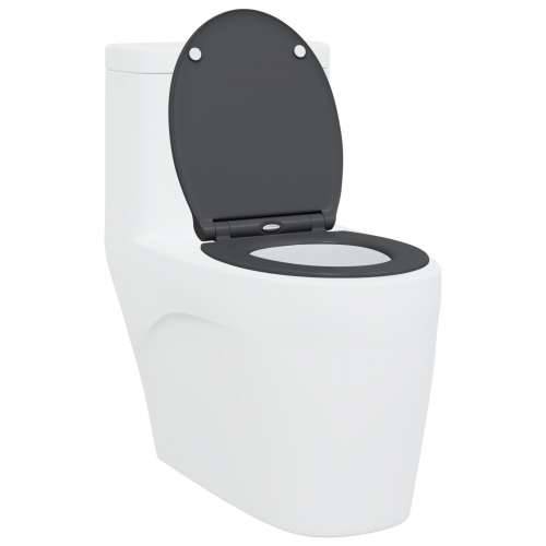 Brzo otpuštanje WC školjke s mekim zatvaranjem Duroplast Antracit Cijena