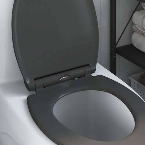 Brzo otpuštanje WC školjke s mekim zatvaranjem Duroplast Antracit Cijena