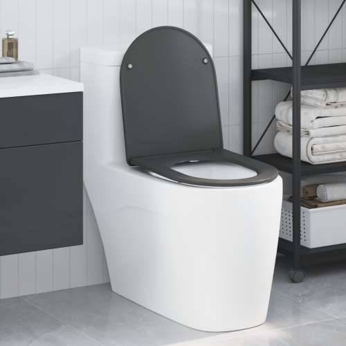 Brzo otpuštanje WC sjedala s mekim zatvaranjem Duroplast Antracit Cijena