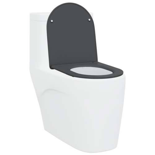 Brzo otpuštanje WC sjedala s mekim zatvaranjem Duroplast Antracit Cijena