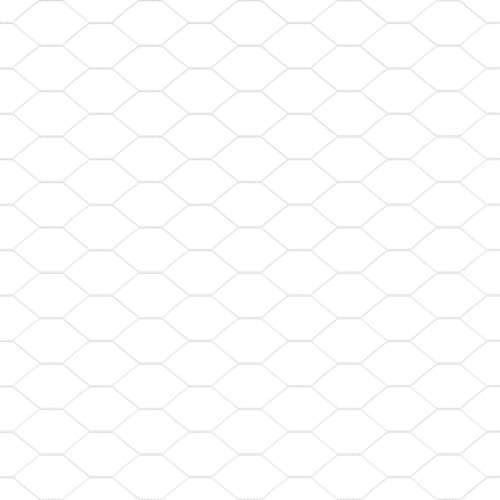 Hexagonalna Ograda 0,4x10 m Cinkovani Čelik Cijena