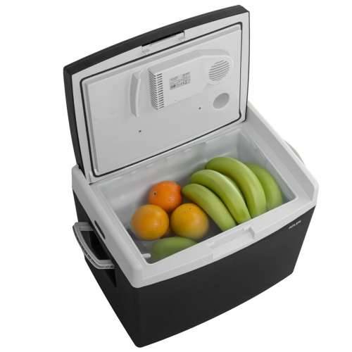 Mini zamrzivač Adler AD 8092 Crna Siva 55 W 40 L Cijena