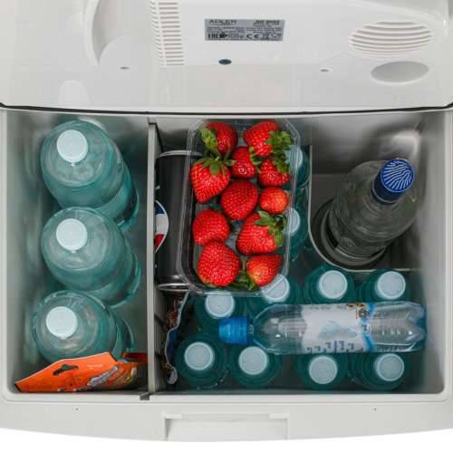 Mini zamrzivač Adler AD 8092 Crna Siva 55 W 40 L Cijena