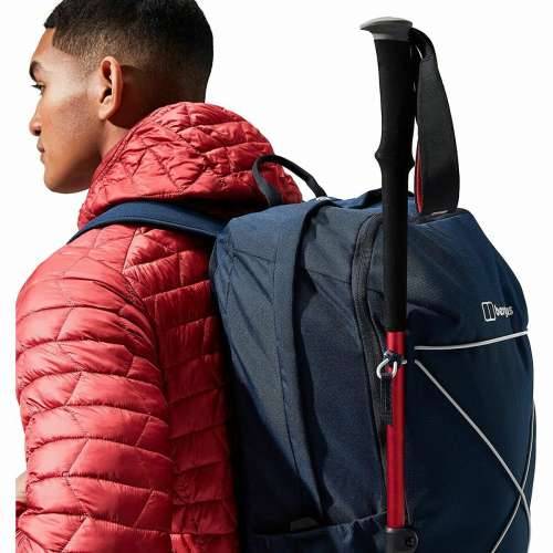 Ruksak za planinarenje Berghaus 30 L Cijena