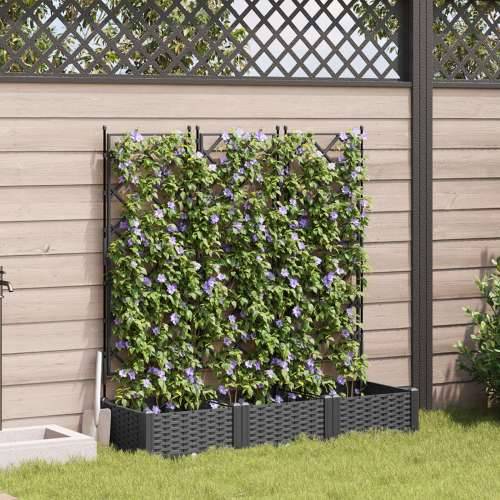 Planter s rešetkom 3 kom Crno 120x40x125.5 cm Cijena
