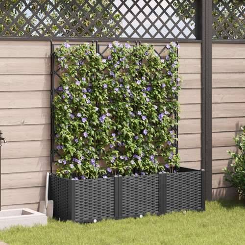 vrtna saksija s rešetkom 3 kom crna 120x40x143 cm Cijena