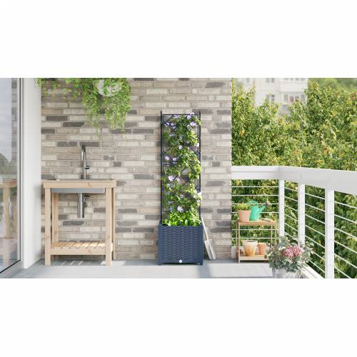 Vrtna Sadilica s Trellisom Siva 40x40x143 cm Cijena