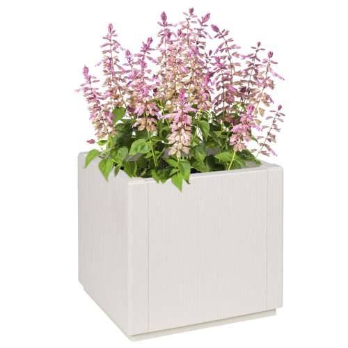 Plastenik bijeli 36x36x35 cm PP Cijena