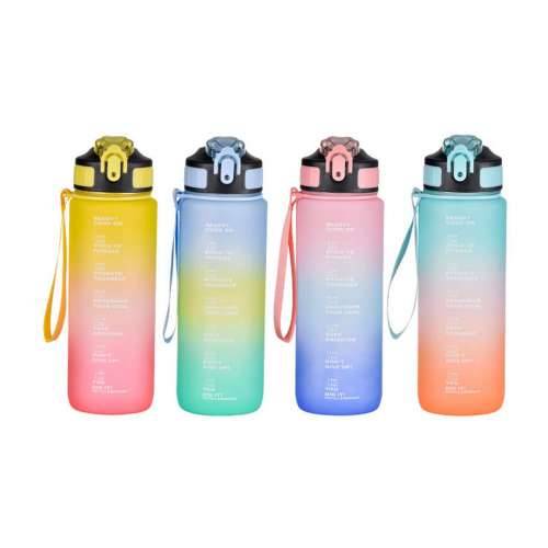 Boca vode Bewinner Pisana 800 ml 7,5 x 23,5 cm (12 kom.) Cijena