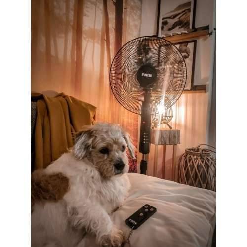 Podni Ventilator N’oveen F455 Crna 55 W Cijena
