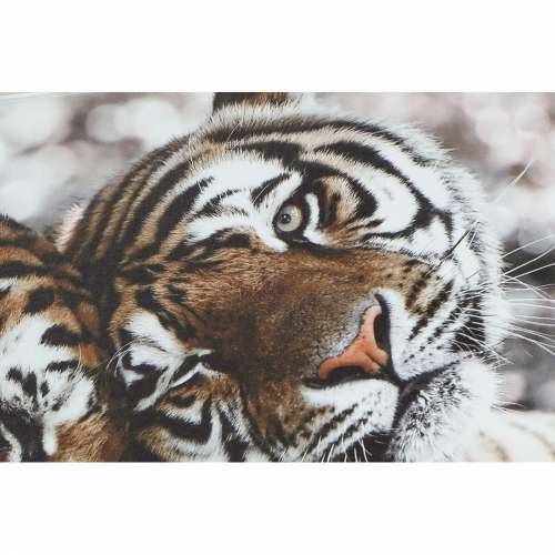 Slika DKD Home Decor Tigar Kolonijalni (80 x 1,8 x 40 cm) (2 kom.) Cijena