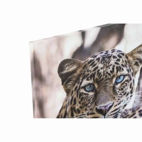 Slika DKD Home Decor Leopard Kolonijalni (50 x 1,8 x 70 cm) Cijena