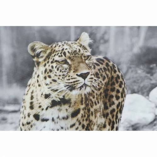 Slika DKD Home Decor Leopard Kolonijalni (50 x 1,8 x 70 cm) (4 kom.) Cijena