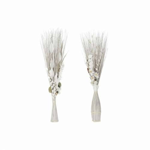 buket DKD Home Decor 8424001847457 Ziedi Prirodno Smeđa Bijela Suhi cvijet (40 x 40 x 150 cm) (2 kom.) Cijena