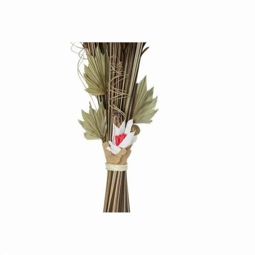buket DKD Home Decor 8424001847471 Ziedi Prirodno Crvena Smeđa Suhi cvijet (40 x 40 x 150 cm) (2 kom.) Cijena