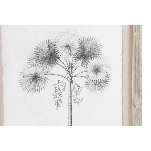 Slika DKD Home Decor Dlanovi Kolonijalni (35 x 1,8 x 45 cm) (9 kom.) Cijena