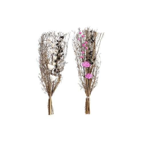 buket DKD Home Decor Roza Smeđa Bijela Suhi cvijet (2 kom.) (30 x 30 x 65 cm) Cijena