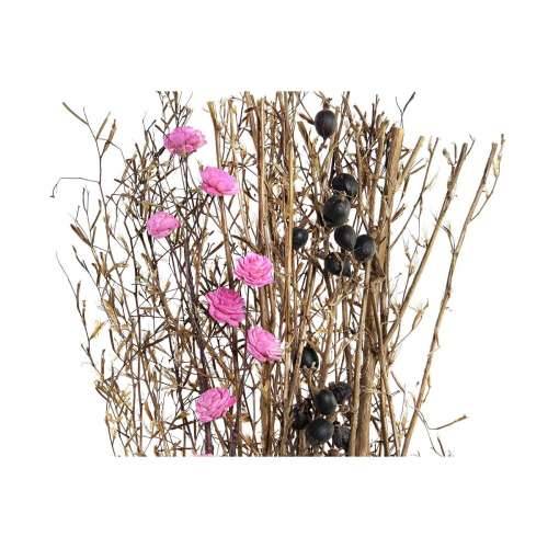 buket DKD Home Decor Roza Smeđa Bijela Suhi cvijet (2 kom.) (30 x 30 x 65 cm) Cijena