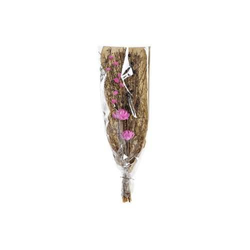 buket DKD Home Decor Roza Smeđa Bijela Suhi cvijet (2 kom.) (30 x 30 x 65 cm) Cijena