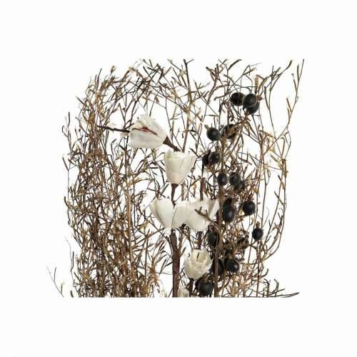 buket DKD Home Decor Roza Smeđa Bijela Suhi cvijet (2 kom.) (30 x 30 x 65 cm) Cijena