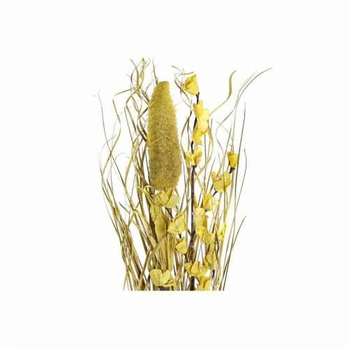buket DKD Home Decor Prirodno zlatan Bijela Rumena Suhi cvijet (30 x 30 x 100 cm) (2 kom.) Cijena