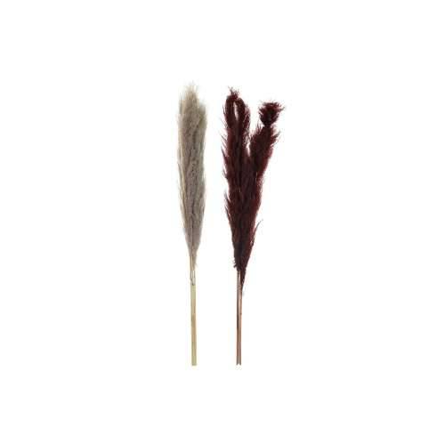 Ukrasna Biljka DKD Home Decor Bež Bordo (7 x 7 x 120 cm) (2 kom.) Cijena