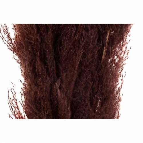 Ukrasna Biljka DKD Home Decor Bež Bordo (7 x 7 x 120 cm) (2 kom.) Cijena