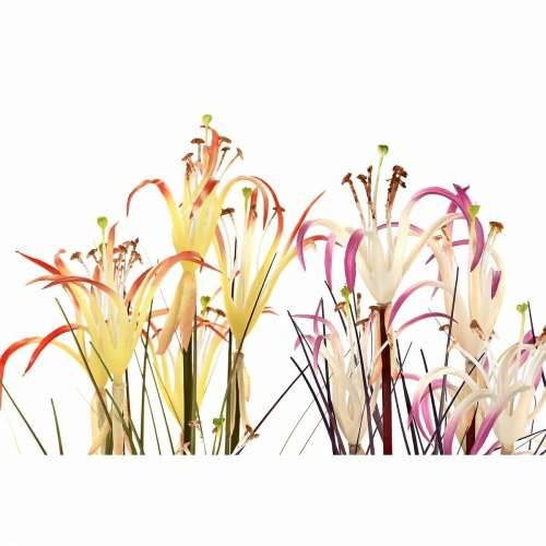 Ukrasna Biljka DKD Home Decor Metal Oranžna Bordo PVC ljiljani (25 x 25 x 88 cm) (2 kom.) Cijena