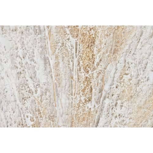 Slika Home ESPRIT Bijela Bež Vrč tradicionalan 62 x 4,5 x 122 cm (2 kom.) Cijena