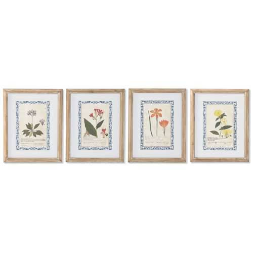 Slika Home ESPRIT Shabby Chic Botaničke biljke 40 x 2,5 x 50 cm (4 kom.) Cijena