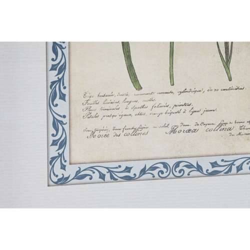 Slika Home ESPRIT Shabby Chic Botaničke biljke 40 x 2,5 x 50 cm (4 kom.) Cijena