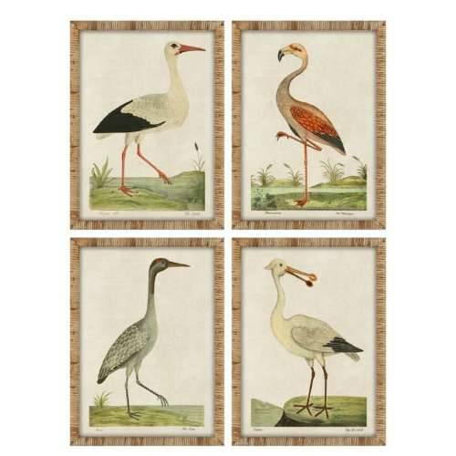 Slika Home ESPRIT Bež ptice tradicionalan 50 x 2,5 x 40 cm (4 kom.) Cijena