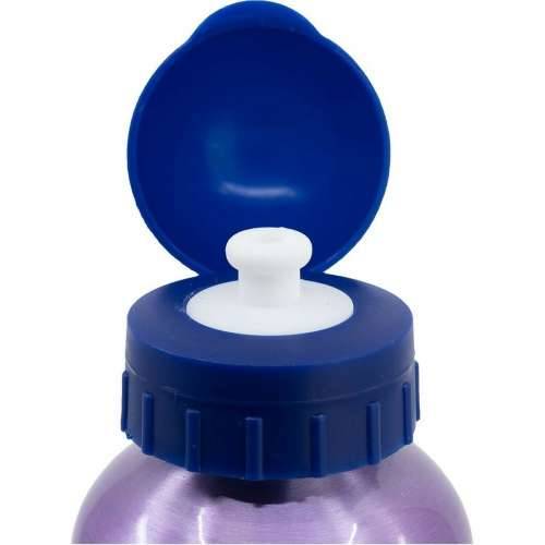 Boca vode Frozen CZ11261 530 ml Plava Aluminij Cijena