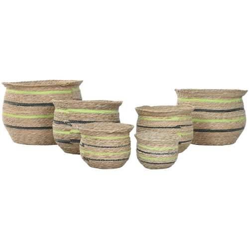 Tegla za biljke Home ESPRIT Smeđa Zelena Vlakna Arap 44 x 44 x 33 cm (6 kom.) Cijena